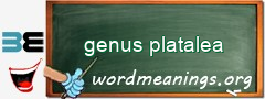 WordMeaning blackboard for genus platalea